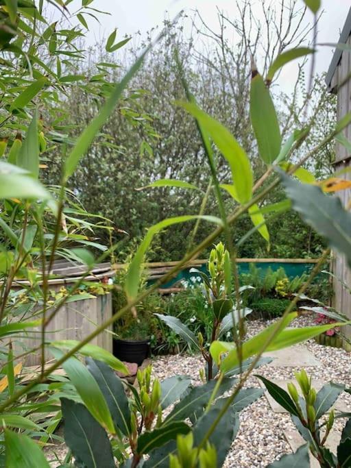 Holiday home Appletree Barn - Pembrokeshire Coast National Park *