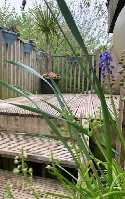 Appletree Barn - Pembrokeshire Coast National Park Holiday home *