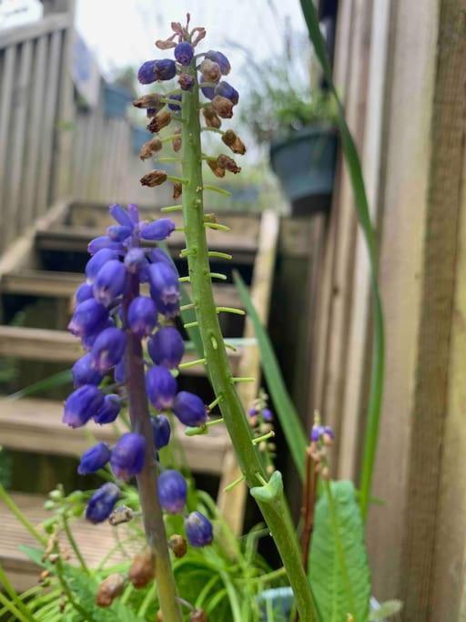 Holiday home Appletree Barn - Pembrokeshire Coast National Park *