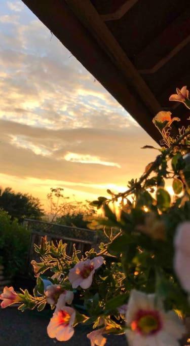 Holiday home Appletree Barn - Pembrokeshire Coast National Park *